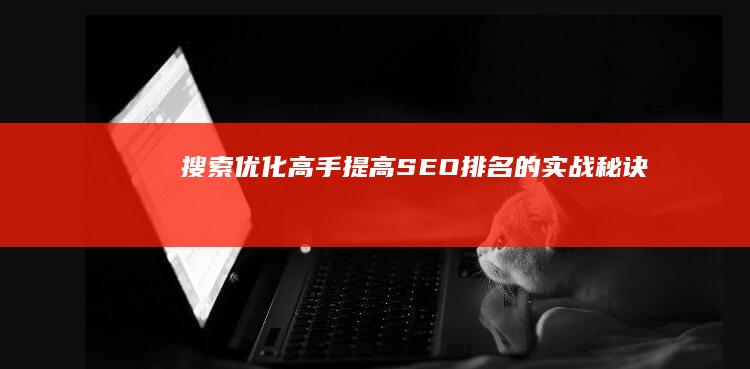 搜索优化高手：提高SEO排名的实战秘诀